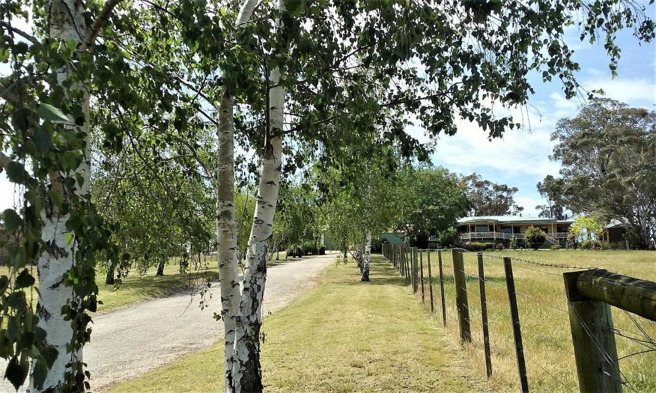 Nicholson Bnb And Arts Centre Exterior foto
